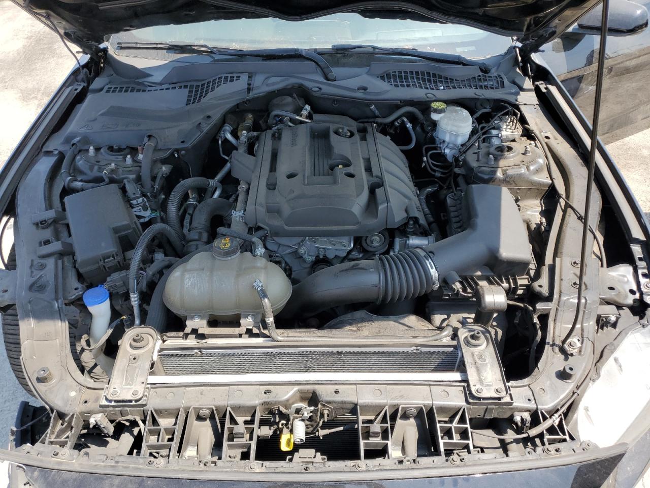 2020 Ford Mustang VIN: 1FA6P8TH9L5159909 Lot: 64253465