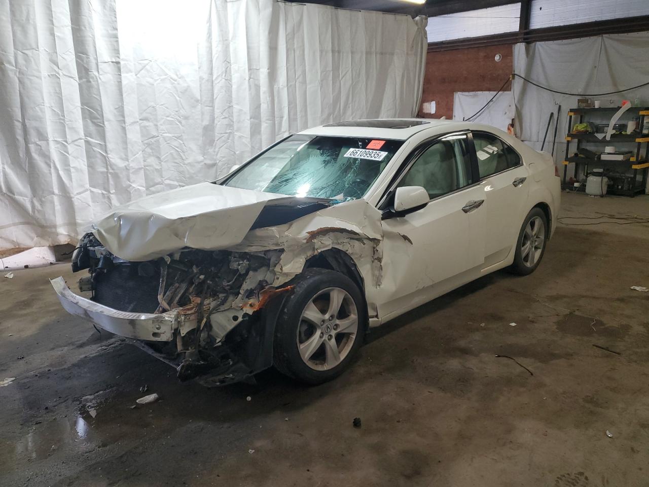 2010 Acura Tsx VIN: JH4CU2F66AC038100 Lot: 66109935