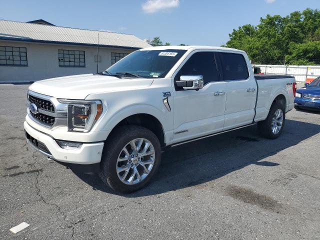  FORD F-150 2023 White