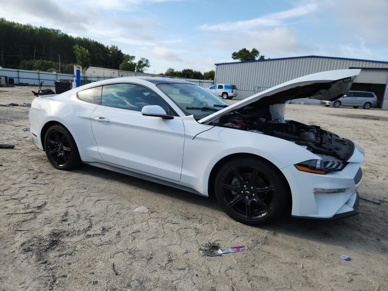2020 Ford Mustang VIN: 1FA6P8TH9L5123900 Lot: 65088715