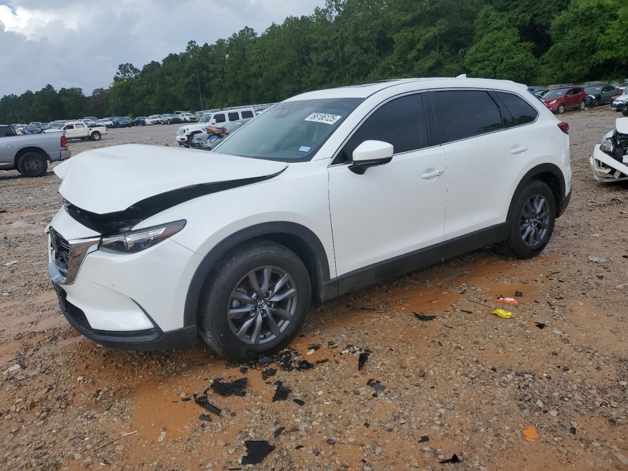 2020 Mazda Cx-9 Touring VIN: JM3TCACYXL0400056 Lot: 66186125