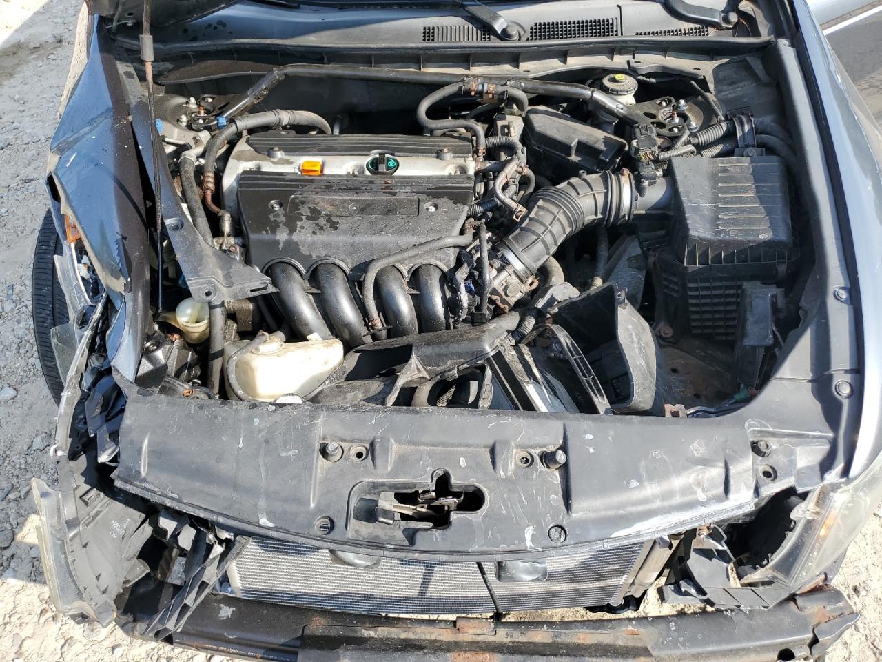 2009 Honda Accord Exl VIN: 1HGCP26849A081773 Lot: 66146415