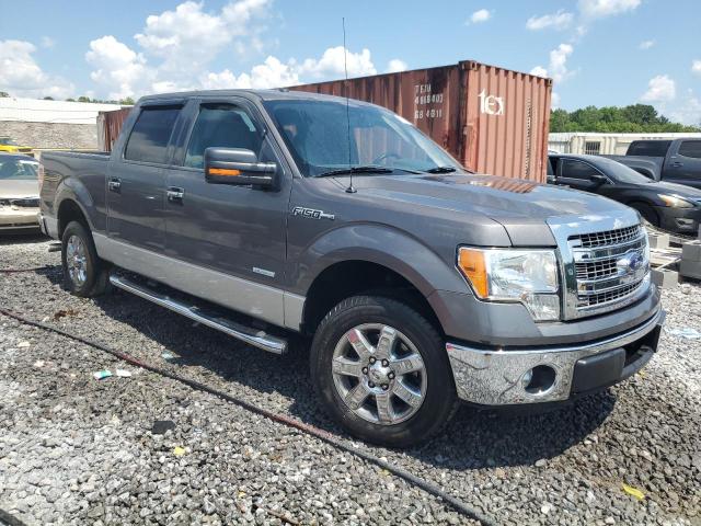  FORD F-150 2013 Szary