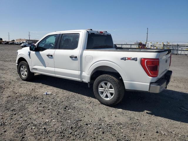  FORD F-150 2023 Biały