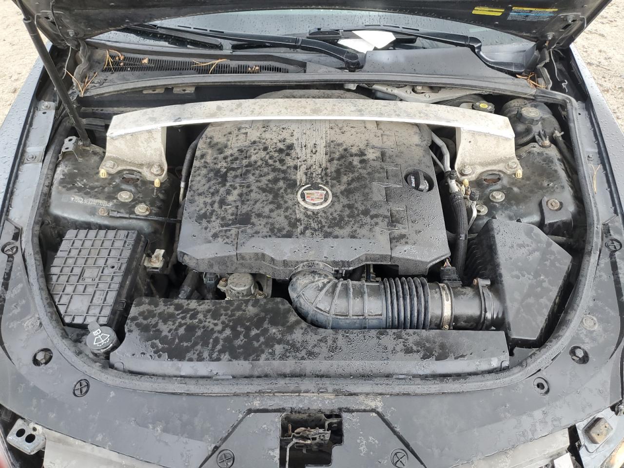 2010 Cadillac Cts Performance Collection VIN: 1G6DL5EV2A0117884 Lot: 63616675