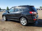 2011 HYUNDAI SANTA FE GLS   à vendre chez Copart AB - CALGARY