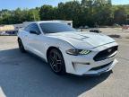 2019 FORD MUSTANG    for sale at Copart MA - NORTH BOSTON
