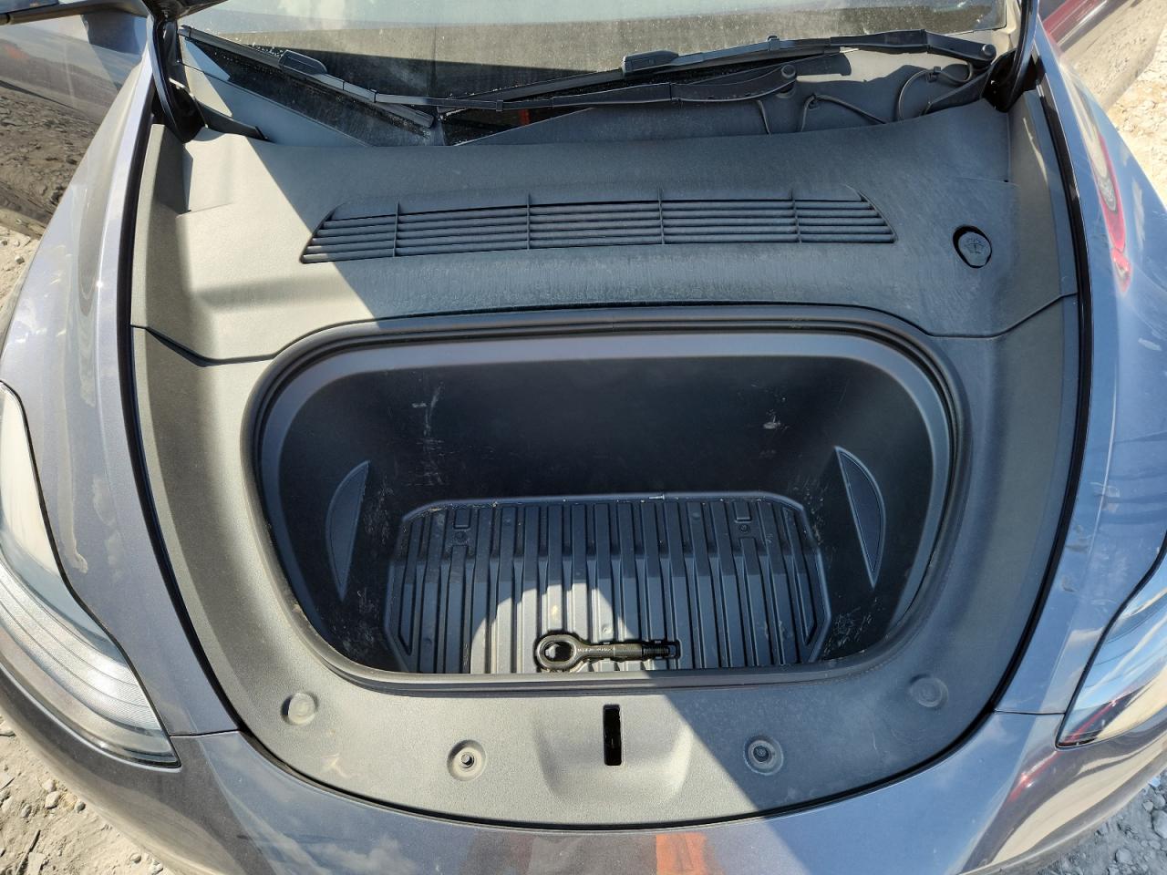 2023 Tesla Model Y VIN: 7SAYGDEE4PF709782 Lot: 62826475