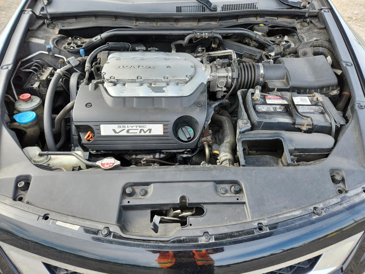 2010 Honda Accord Exl VIN: 1HGCS2B83AA003929 Lot: 65042505
