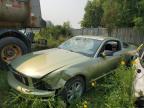 2006 FORD MUSTANG    for sale at Copart AB - CALGARY