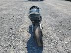 2006 HONDA CBR600 RR   for sale at Copart NS - HALIFAX