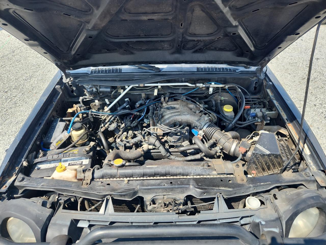 2002 Nissan Xterra Xe VIN: 5N1ED28T12C549823 Lot: 63058235