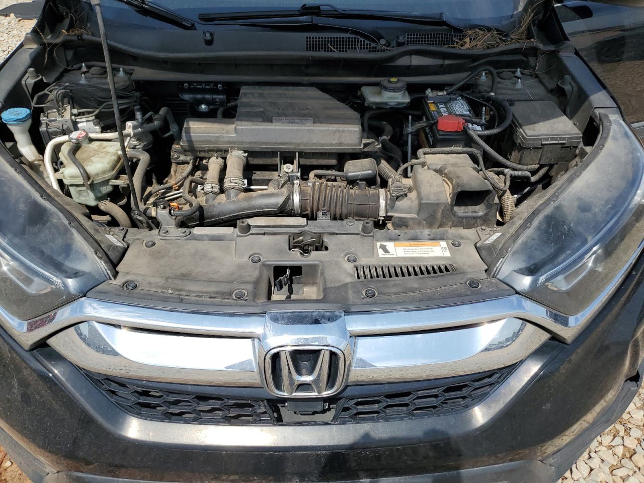 2019 Honda Cr-V Exl VIN: 2HKRW1H80KH509257 Lot: 64031465