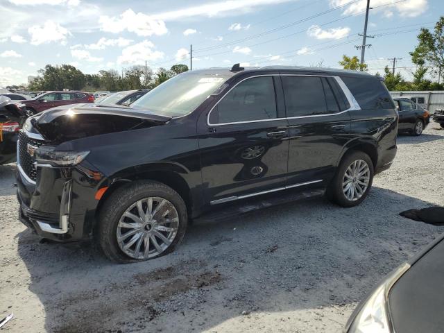  CADILLAC ESCALADE 2024 Czarny