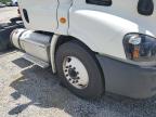 2017 FREIGHTLINER CASCADIA 113    à vendre chez Copart GA - ATLANTA EAST