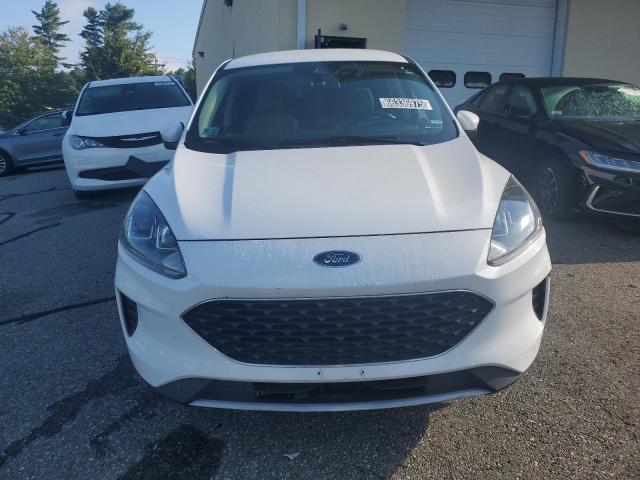  FORD ESCAPE 2020 Biały