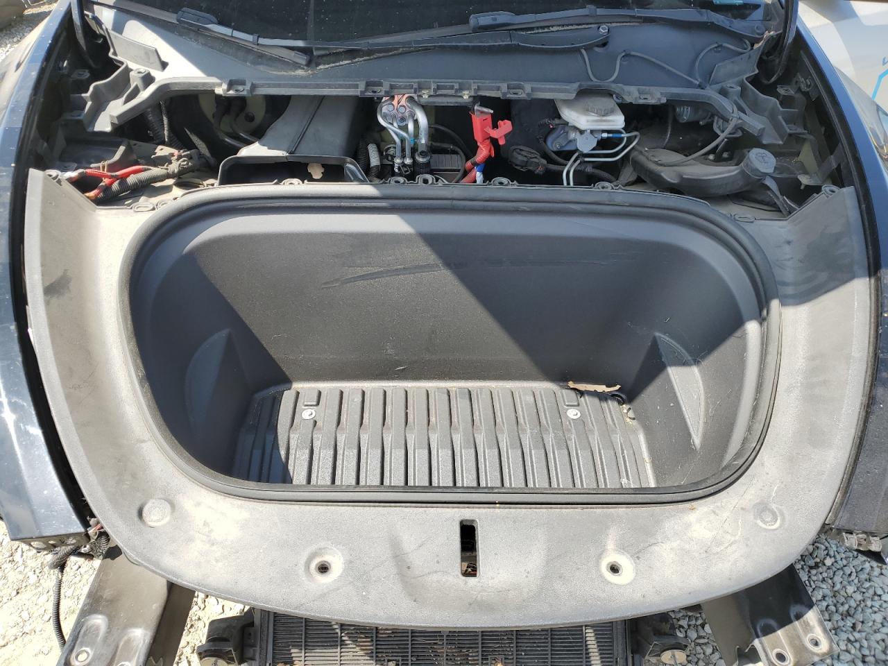 2023 Tesla Model Y VIN: 7SAYGDEE3PA097314 Lot: 64849645