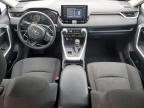 2019 TOYOTA RAV4 LE   for sale at Copart NB - MONCTON