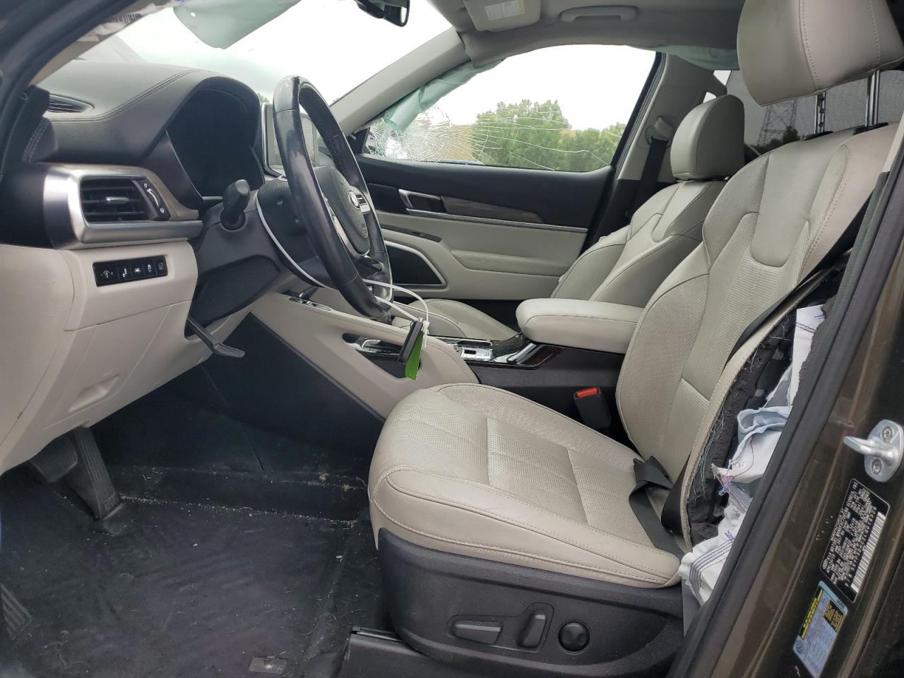 2020 Kia Telluride Ex VIN: 5XYP3DHC2LG018526 Lot: 65085165
