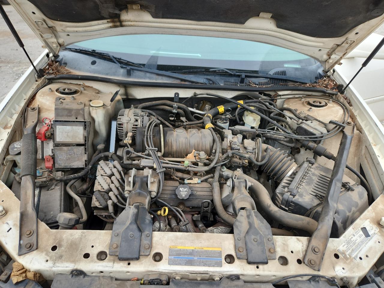 2004 Chevrolet Impala Ls VIN: 2G1WH52K449415664 Lot: 62218935