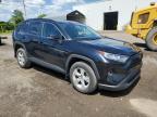 2019 TOYOTA RAV4 XLE   à vendre chez Copart QC - MONTREAL