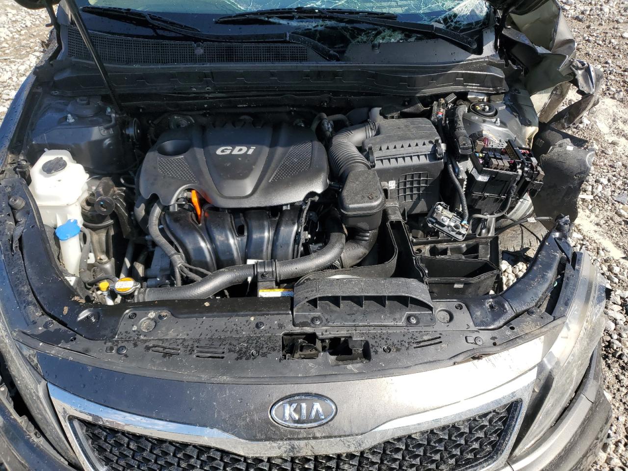 2011 Kia Optima Lx VIN: KNAGM4A75B5074703 Lot: 64450755