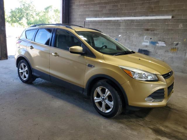 Parquets FORD ESCAPE 2014 Złoty