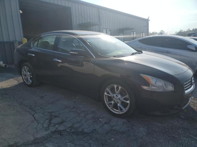  NISSAN MAXIMA 2012 Fioletowy