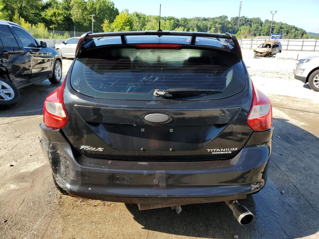 2014 Ford Focus Titanium VIN: 1FADP3N29EL411384 Lot: 61713725
