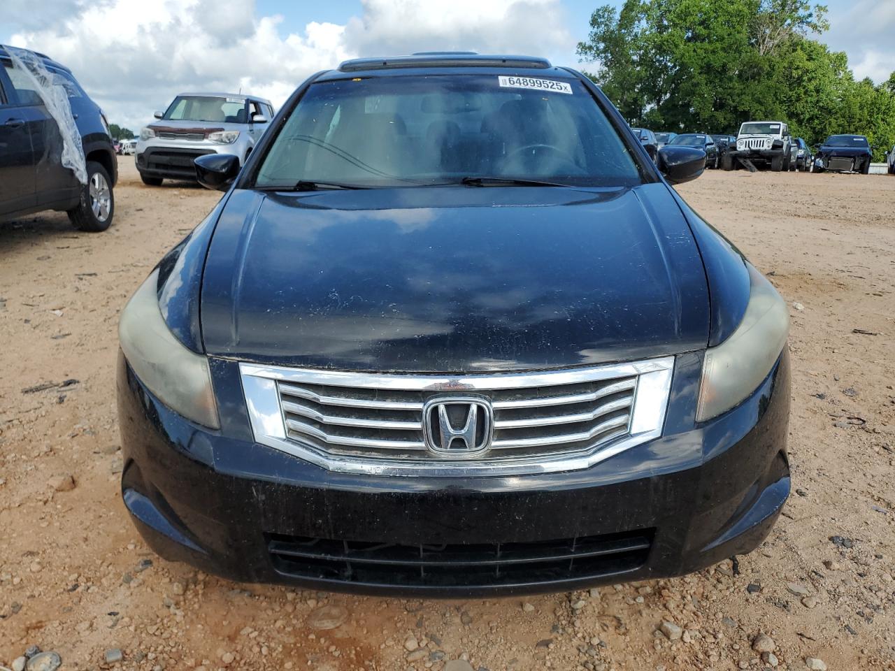 2009 Honda Accord Exl VIN: 1HGCP268X9A133858 Lot: 64899525