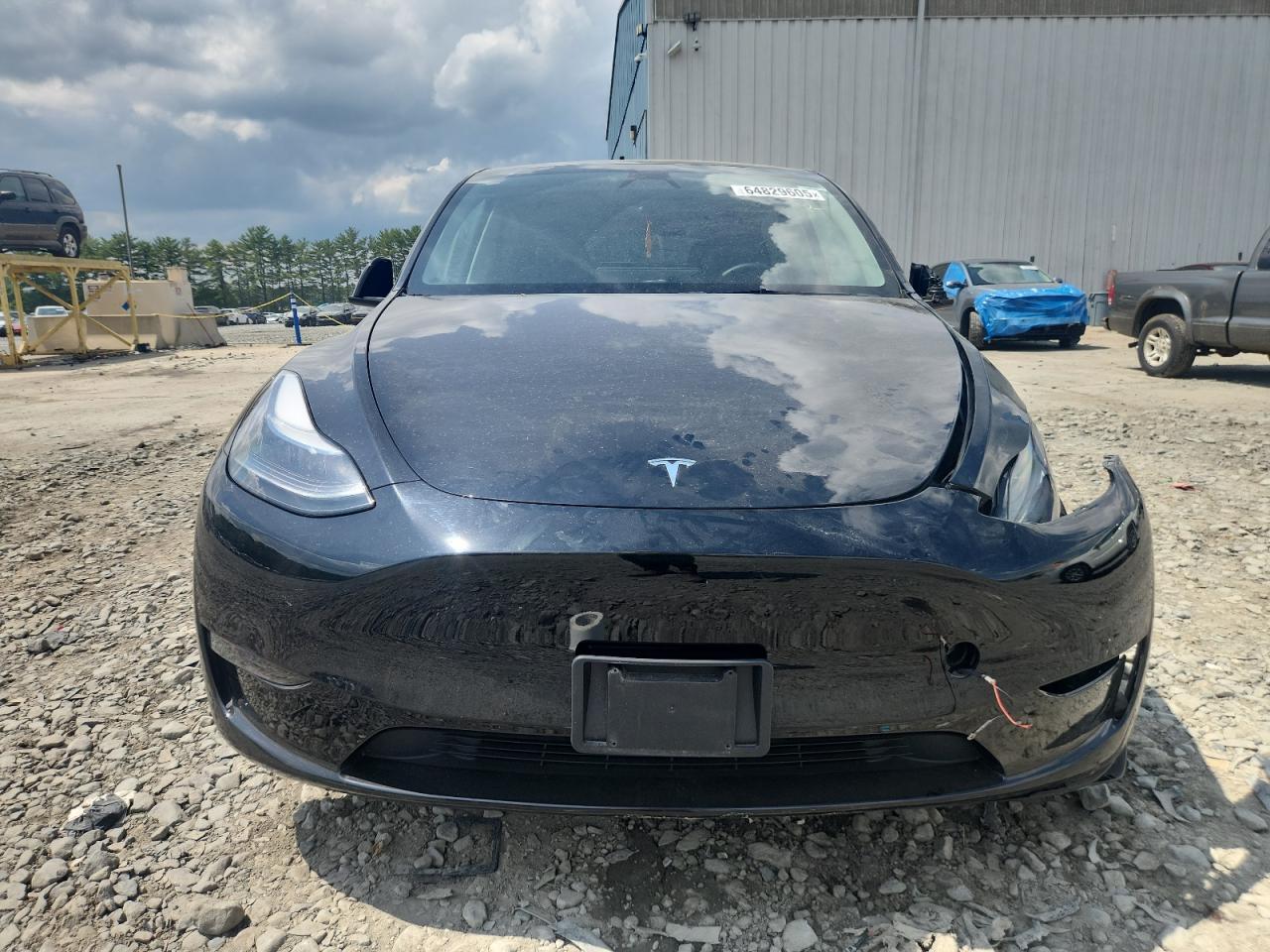 2023 Tesla Model Y VIN: 7SAYGAEE1PF805187 Lot: 64829605