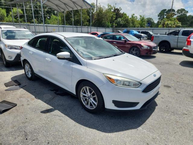  FORD FOCUS 2016 Белы