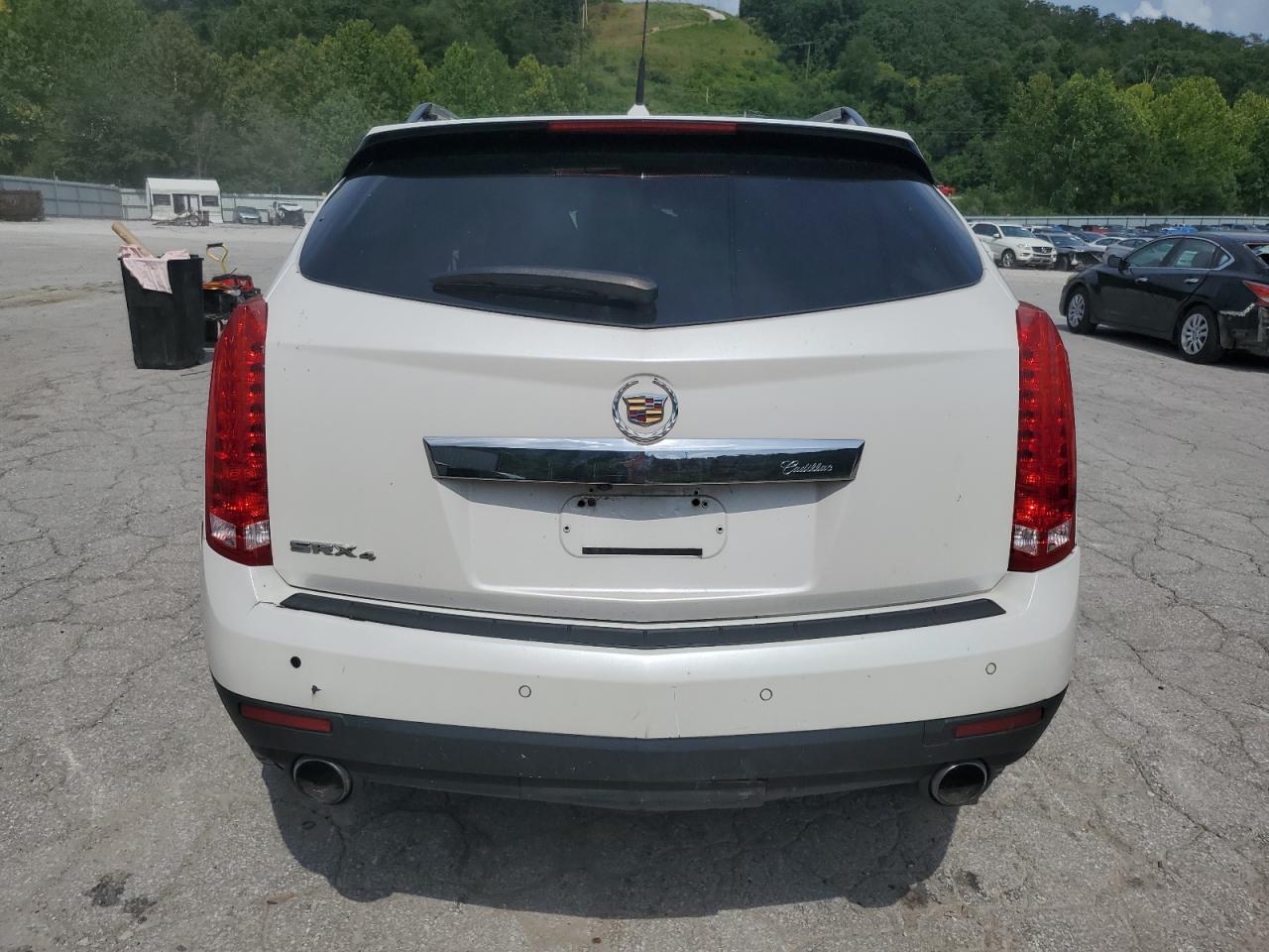 2010 Cadillac Srx Luxury Collection VIN: 3GYFNDEY1AS654639 Lot: 66591285