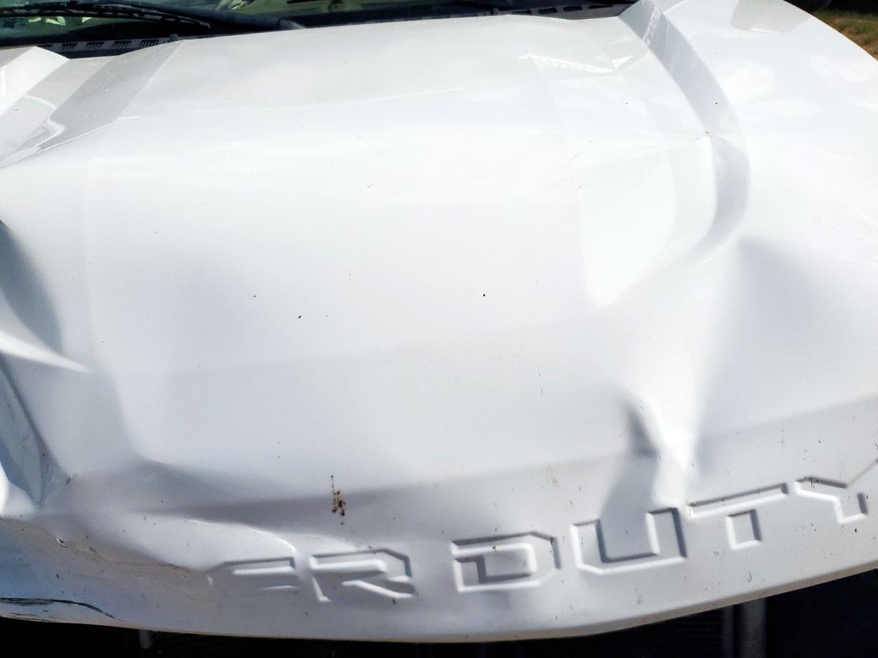 2022 Ford F350 Super Duty VIN: 1FT8W3BN3NEF23101 Lot: 65944495