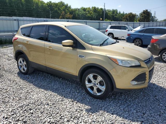  FORD ESCAPE 2014 Золотой