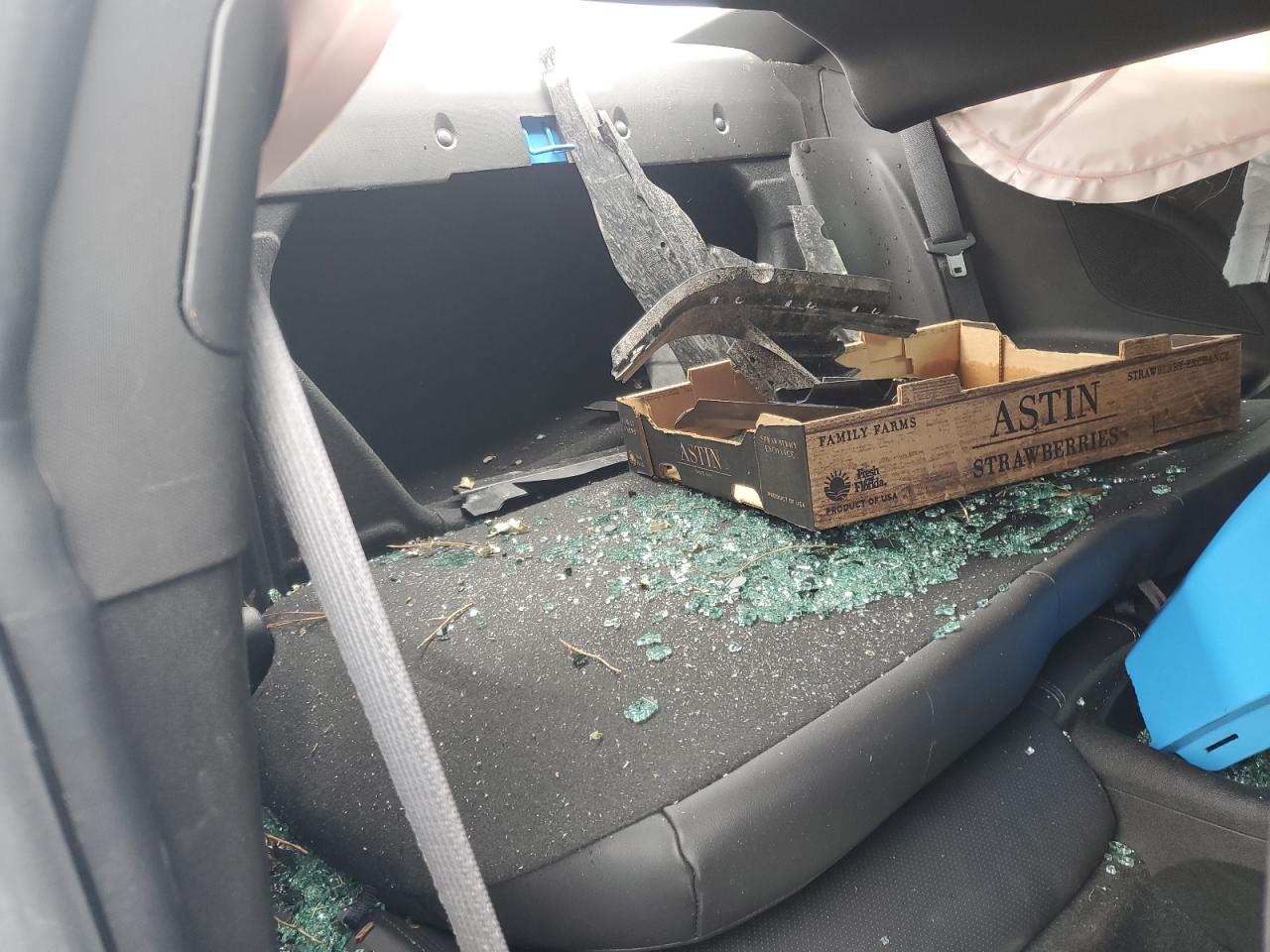 2023 Chevrolet Camaro Ls VIN: 1G1FB1RSXP0118204 Lot: 63810975