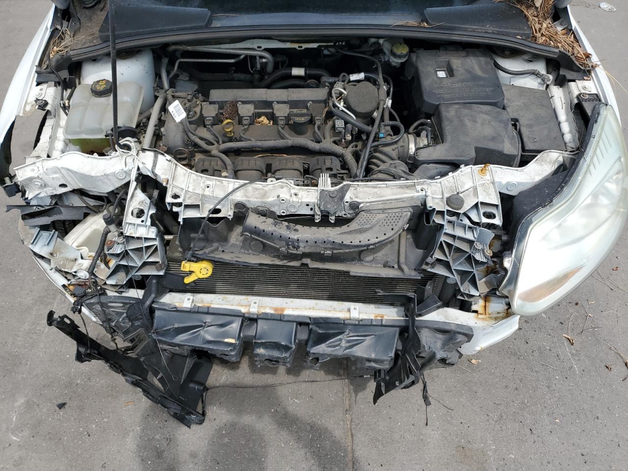 2012 Ford Focus Sel VIN: 1FAHP3M23CL122551 Lot: 67280025