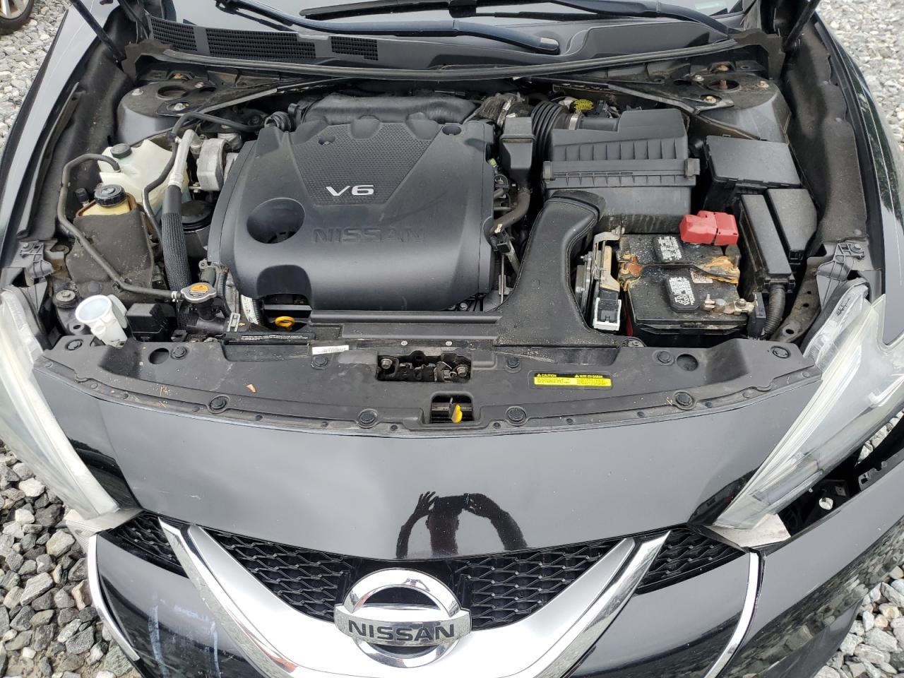 2016 Nissan Maxima 3.5S VIN: 1N4AA6AP9GC900037 Lot: 63745435