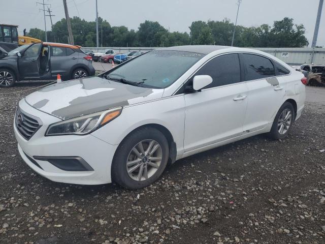  HYUNDAI SONATA 2016 Білий