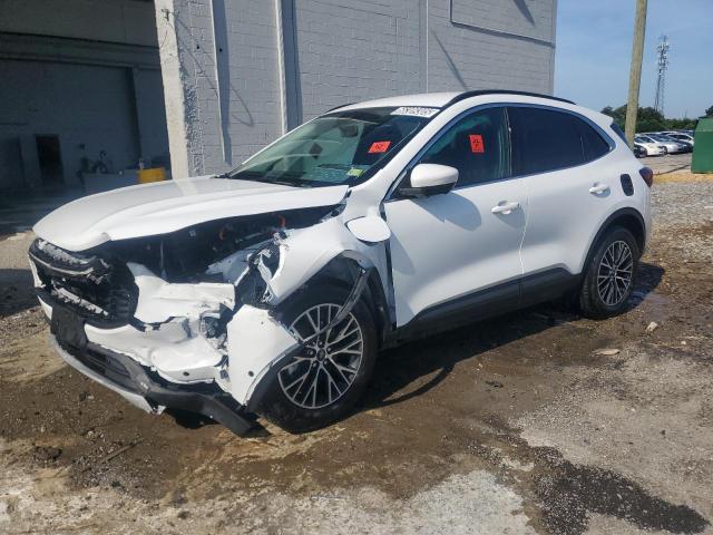  FORD ESCAPE 2023 Biały