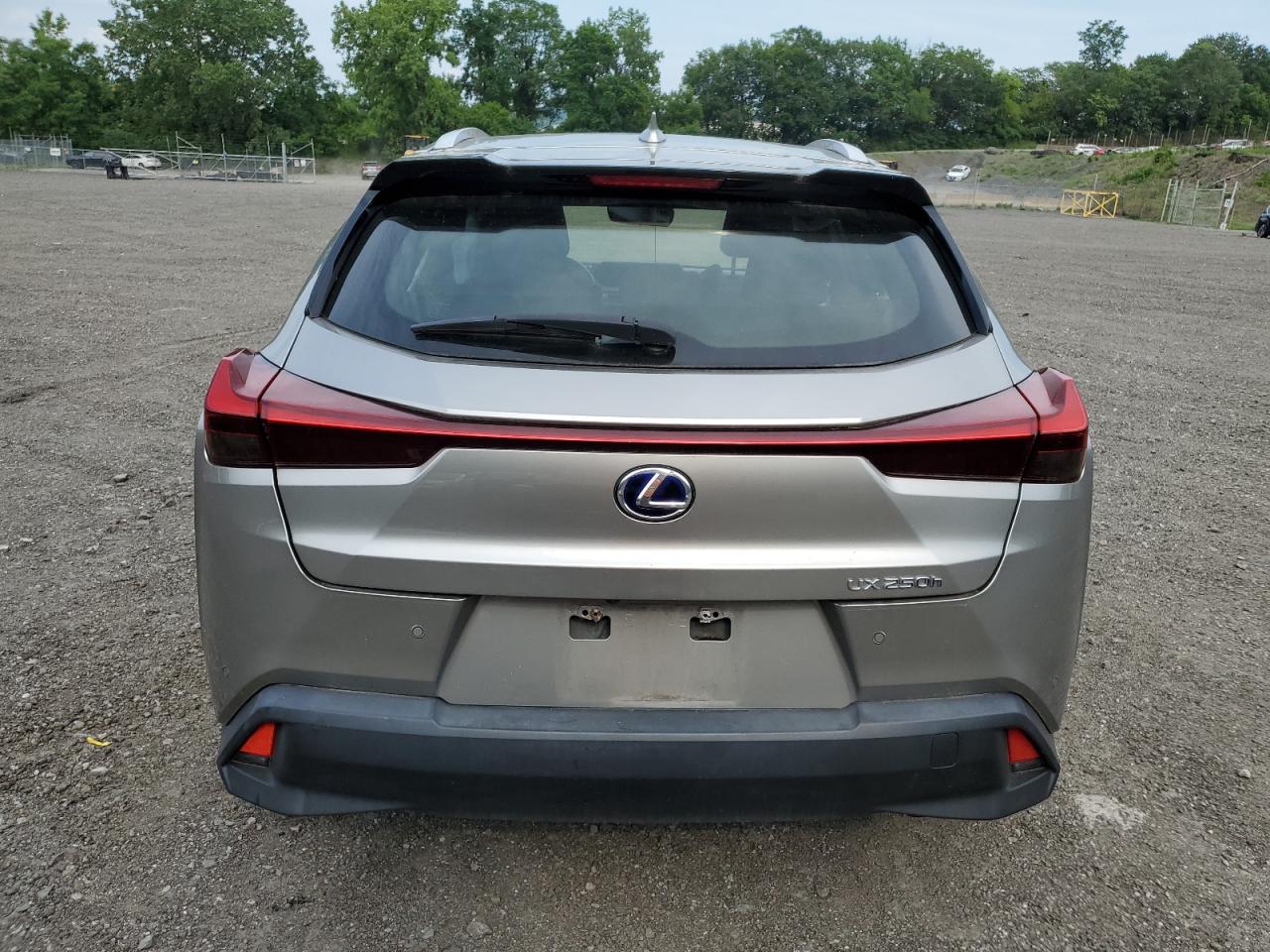 2020 Lexus Ux 250H VIN: JTHP9JBH0L2021788 Lot: 64630595