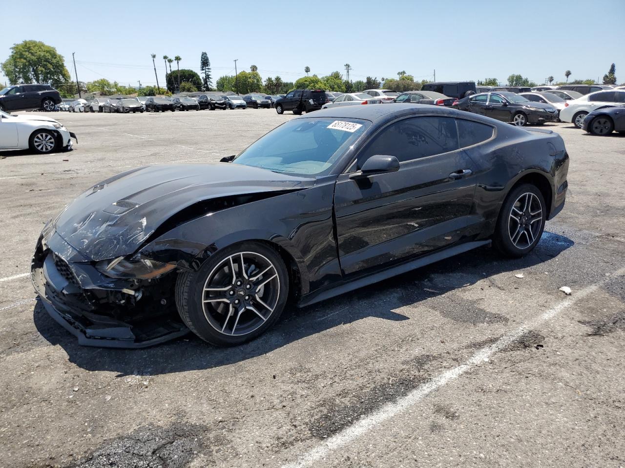 2022 Ford Mustang VIN: 1FA6P8TH8N5147446 Lot: 65178125