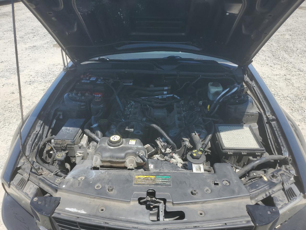 2007 Ford Mustang Gt VIN: 1ZVFT82H675231028 Lot: 64651725