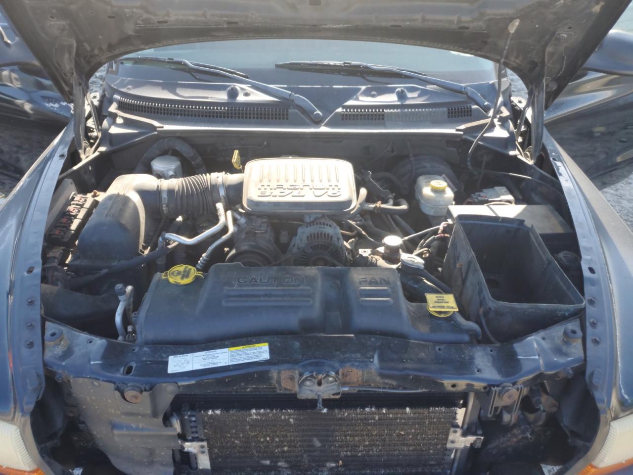 2004 Dodge Dakota Quad Sport VIN: 1D7HG38KX4S739706 Lot: 81505655