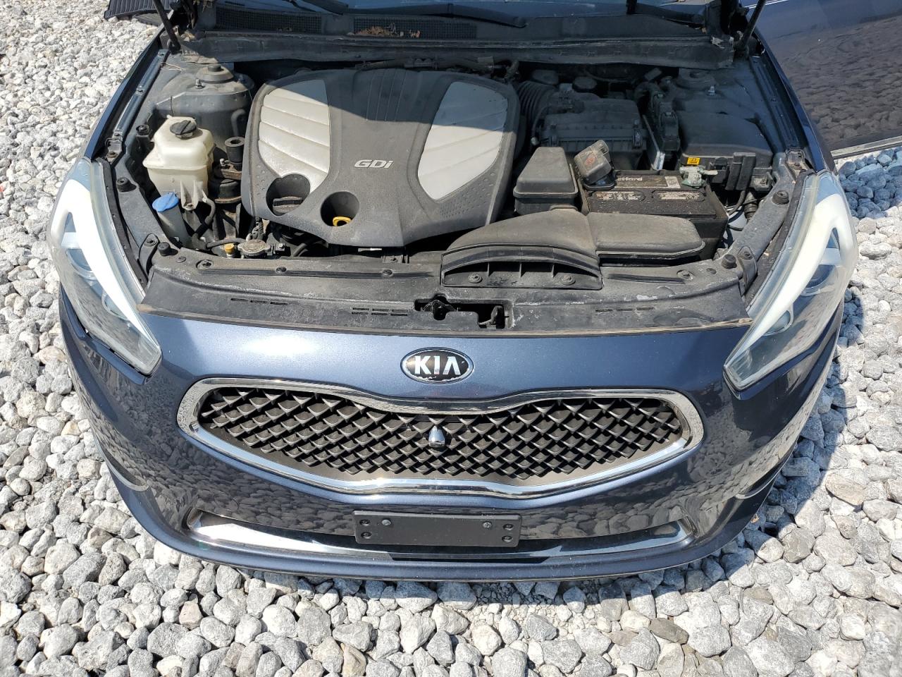 2015 Kia Cadenza Premium VIN: KNALN4D77F5183256 Lot: 64837785
