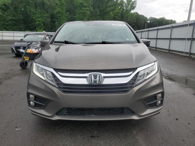  HONDA All Models 2020 Brązowy