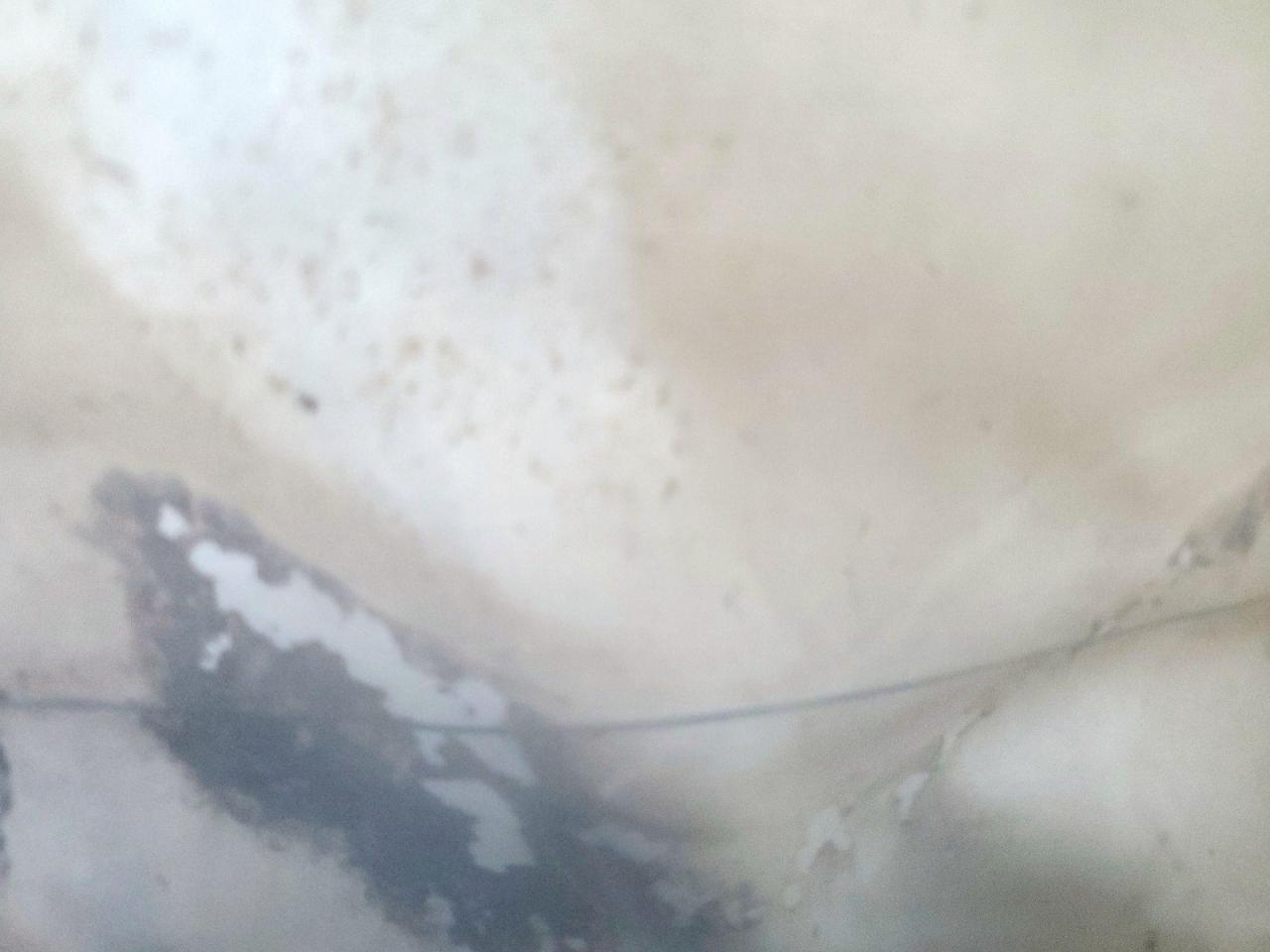 2025 Tesla Cybertruck VIN: 7G2CEHED4SA067482 Lot: 65383115