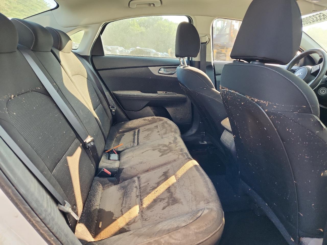 2020 Kia Forte Fe VIN: 3KPF24ADXLE213997 Lot: 65332065