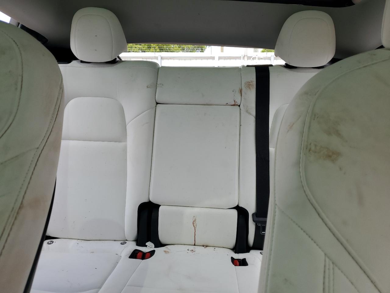 2022 Tesla Model Y VIN: 7SAYGDEF7NF366990 Lot: 66328255