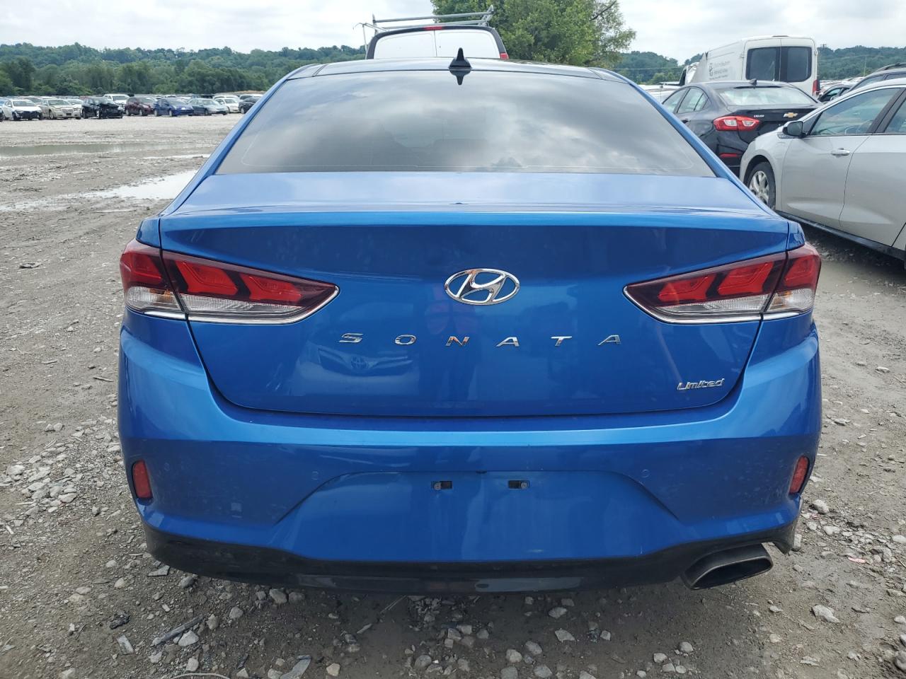 2019 Hyundai Sonata Limited VIN: 5NPE34AF3KH766916 Lot: 65398965
